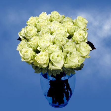 Wondrous Nature - 36 Stems Vase